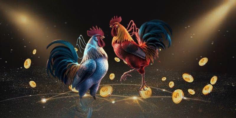 Đá gà trực tuyến abc8 là gì?